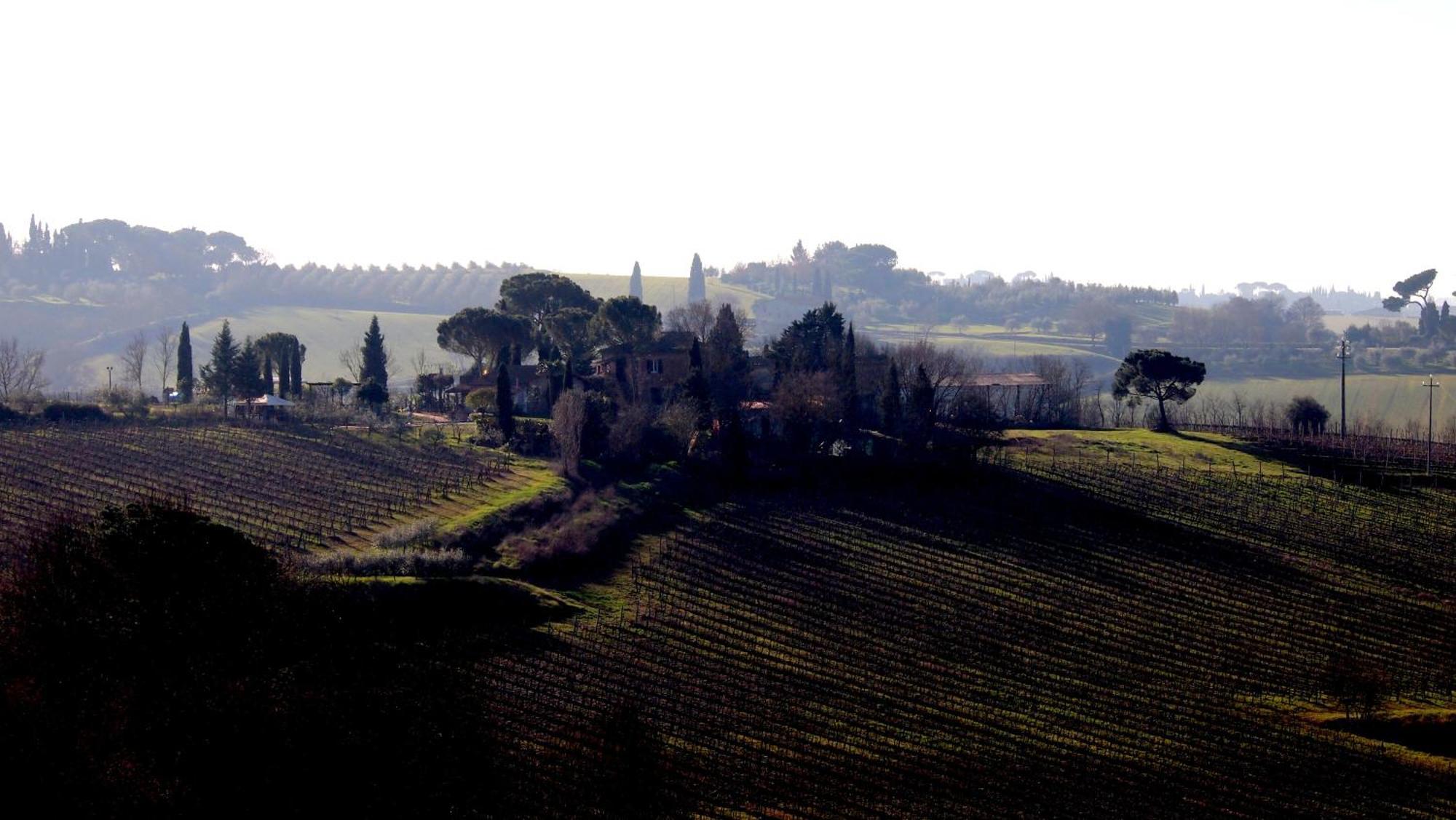 Agriturismo La Terra Valiano Bagian luar foto