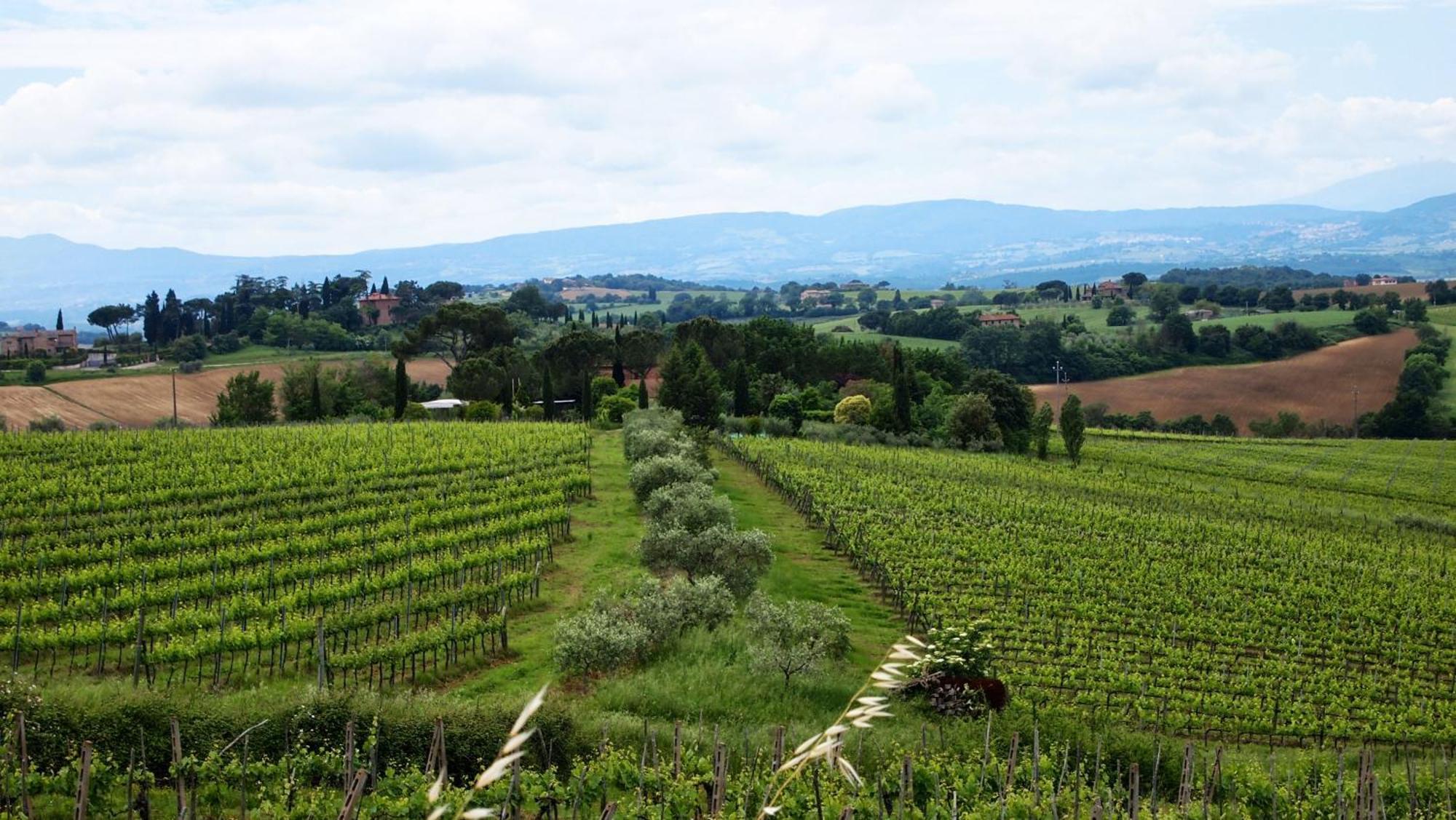 Agriturismo La Terra Valiano Bagian luar foto
