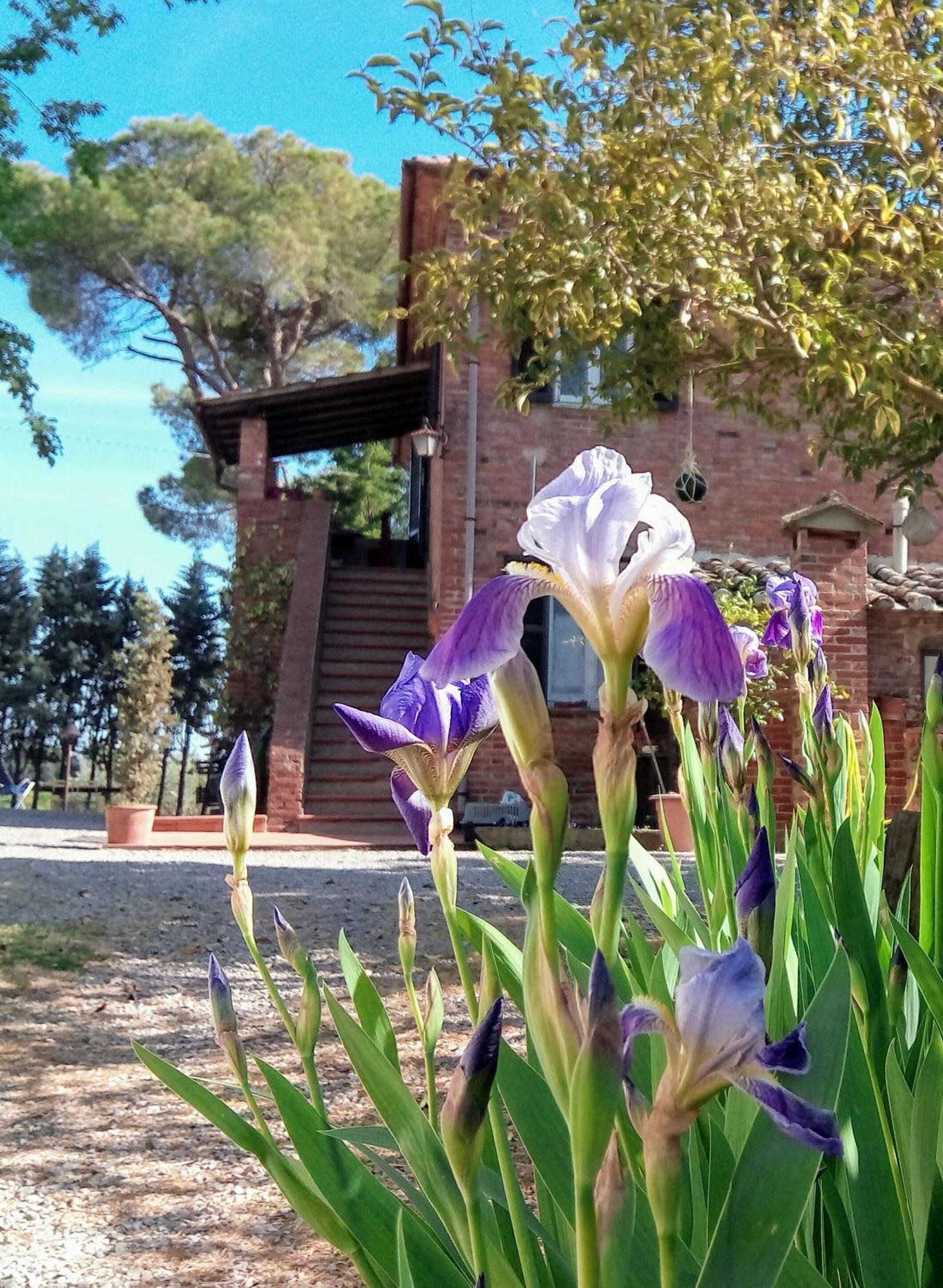 Agriturismo La Terra Valiano Bagian luar foto