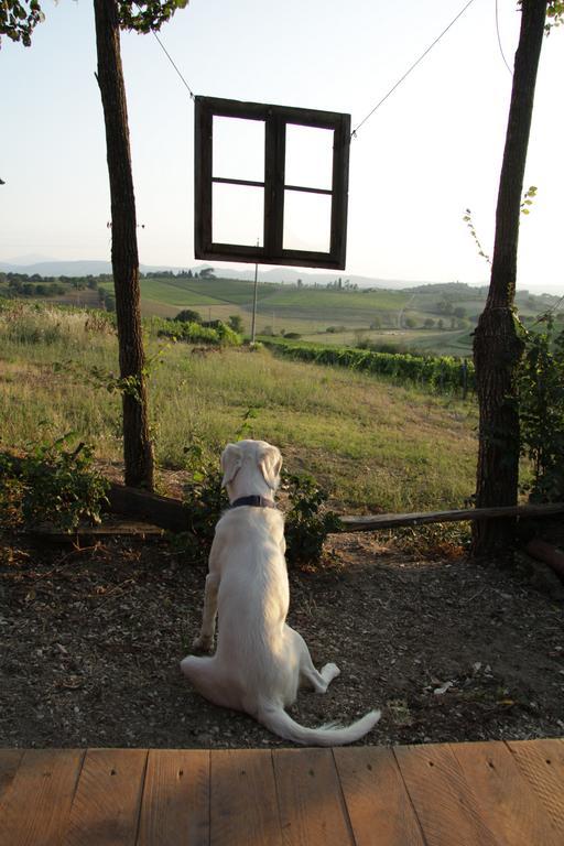 Agriturismo La Terra Valiano Bagian luar foto
